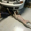 미소카센터 이미지