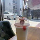 [충북청주]이제는 모찌대왕을 넘어서 탕후루 대왕까지