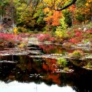 앤앤지(주) 이미지