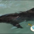 (주)신비포유 이미지