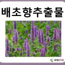 온누리감초약국 이미지