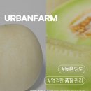 도신농장 이미지