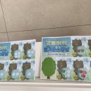 솜피아노 이미지