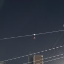 대구막창삼겹살 이미지