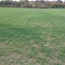 신도2리 마을회관 이미지