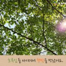쌍용어린이집 이미지