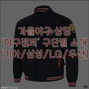 &#39;가을야구 상징&#39; 야구점퍼 구단별 소개(1) ㅣ 동계점퍼, 가격, 상세정보, 판매처 (기아/삼성/LG/두산)