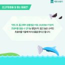 코뿔소보청기 네이버블로그