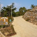 단양 무지개 오토캠핑장 이미지