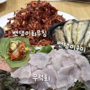 해양막회 | 임산부도 갔다온 밴댕이회무침 구이 내돈내산 후기_금산식당