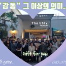 Stay,머뭄