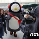 서강대학교 교육대학원 이미지