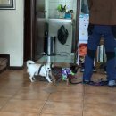 다임정 민박 | [유리랑 은지랑 은영랑 떠나는 얍얍얍 남미여행 D+3] 키토하면 떠오르는 건