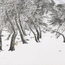 전북특별자치도산림박물관 이미지