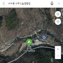 사지목 나무그늘 이미지