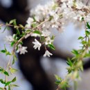 노벨리스코리아 노동조합 이미지