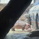복권박물관(휴관) | 경남 사천 당일치기 다녀온 후기 (하식이, 삼천포 케이블카, 목화휴게소)