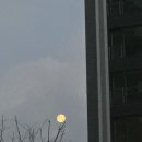 장안온천 | 장안동 스크린골프 골프존파크 장안온천점 리얼후기