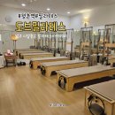 도브필라테스 | 평촌역 필라테스 도브필라테스 리포머 그룹레슨 후기