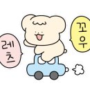 양쉐프양구이