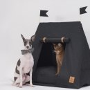 캐슬사이드 이미지