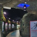 대전아쿠아리움 | 대전 아기랑 나들이 장소 추천 🎈 실내에서 편하게 즐기는 대전아쿠아리움 후기