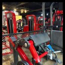 하운드짐 이미지