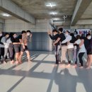 몬스터MMA 이미지