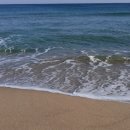 파도소리 이미지