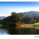 중광농장 이미지