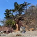 (주)궁평캠프 | [공지] 서울 근교 대중교통으로 국화도 섬 백패킹 명당자리 노지캠핑 (돌고래 봄, 통발, 가는 법)