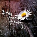 역곡상상시장 이미지