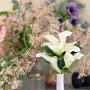 수원-1228 | 수원웨딩홀 호텔 라뷔포레 (구.리츠호텔) 사업자등록증 O 수원아이폰스냅 가온아이폰스냅