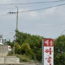 백송 | [맛짱20/청주] 백송 짜글짜글 내돈내산 솔직후기