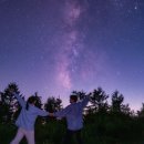 행복가득한약국 | 계류유산 소파술 후기 2주간 증상, 자궁수축 풀림, 소파술 출혈