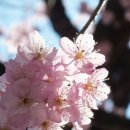 부산배화학교 이미지