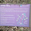 편백숲작은공간 이미지