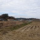 원북119안전센터 이미지