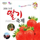 논산 딸기축제(충남 논산) 이미지