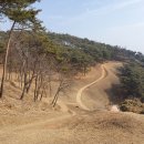 익산토성 주차장 - 1629 | 익산토성 주차장