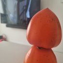 서일사우나 이미지