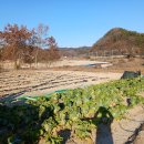 계백로(가수원육교-가수원교) 이미지