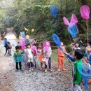 숲해설체험 이미지