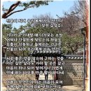 선물이 되어 우리에게 가득 안긴다 (성천 김성수) 하나님의사랑을 함께나눕니다 김성수장로 덕수궁 서울배경사진 Happy birthday 이미지