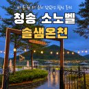 솔샘 | 청송 소노벨 솔샘온천 후기｜비 오는 날 더 좋았던 히노끼 노천탕