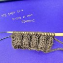 실로모아 이미지