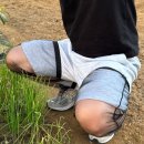 방충이
