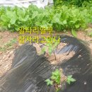 오뚜기농장 이미지