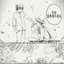 카이신번역