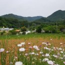 구름펜션민박 이미지